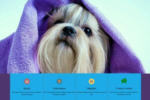 Сайт салона красоты для собак. Разработка с нуля: дизайн, вёрстка, посадка на CMS WordPress. — Зотов Павел Сергеевич