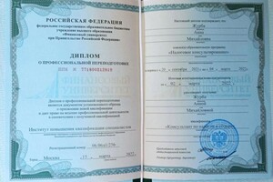 Диплом / сертификат №4 — Журба Анна Михайловна