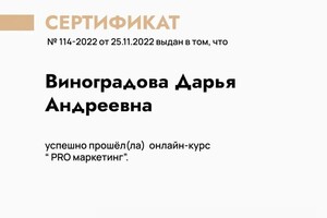 Диплом / сертификат №3 — Виноградова Дарья Андреевна