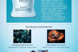 Портфолио №6 — Чатаева Айша Абдулманаповна