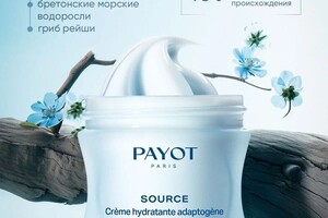Портфолио №8 — Чатаева Айша Абдулманаповна