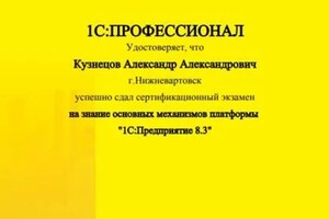 Диплом / сертификат №3 — Кузнецов Александр Александрович