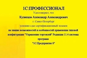 Диплом / сертификат №6 — Кузнецов Александр Александрович