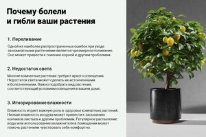 Портфолио №15 — Загидуллина Ольга Павловна