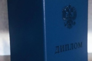 Диплом / сертификат №1 — Шанькова Татьяна Владимировна