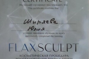 Диплом / сертификат №2 — Ширяева Юлия Валерьевна
