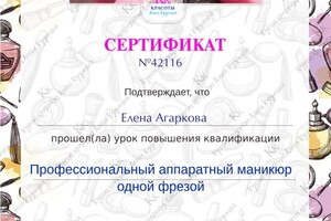 Диплом / сертификат №1 — Агаркова Елена Владимировна