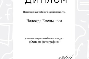 Диплом / сертификат №2 — Емельянова Надежда Васильевна