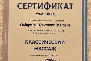 Диплом / сертификат №3 — Сидоренко Кристина Олеговна