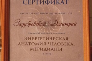 Диплом / сертификат №11 — Задубровский Дмитрий Владимирович