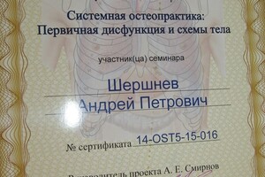 сертификат Системная остеопрактика . Первичная дисфункция и схемы тела. — Шершнев Андрей Петрович
