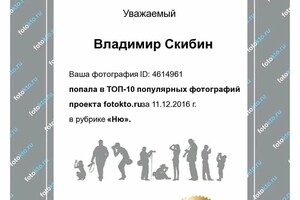 Диплом / сертификат №3 — Скибин Владимир Александрович