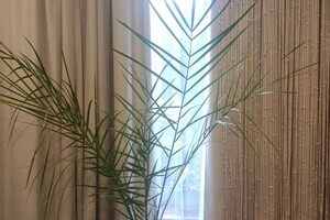 Бондаренко Дарья Дмитриевна — Портфолио №4