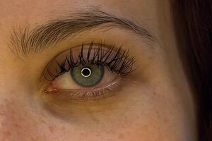 Лапикова Елизавета Вячеславовна — мокрый эффект , можно сделать более гуще — Портфолио №4