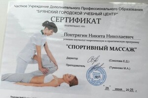 Понтрягин Никита Николаевич — Диплом / сертификат №2