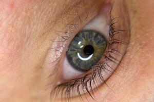 Соловьева Виктория Викторовна — Портфолио №5