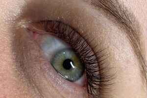 Вереитина Людмила Николаевна — Невесомая классика в цвете мокко,0.1 мм — Портфолио №18