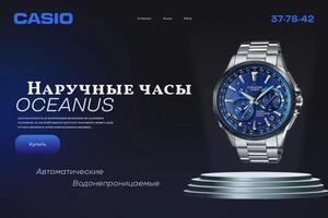 Портфолио №1 — Ринчинова Инесса Чингизовна