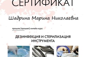 Диплом / сертификат №3 — Шадрина Марина Николаевна