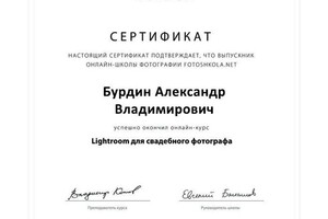 Диплом / сертификат №3 — Бурдин Александр Владимирович