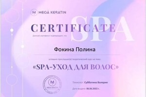 Диплом / сертификат №11 — Фокина Полина Анатольевна