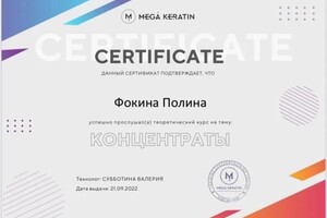 Диплом / сертификат №13 — Фокина Полина Анатольевна