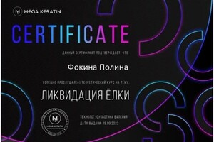 Диплом / сертификат №6 — Фокина Полина Анатольевна