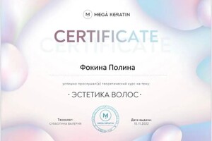 Диплом / сертификат №9 — Фокина Полина Анатольевна