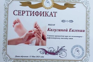 Диплом / сертификат №2 — Калугина Евгения Валериевна