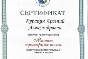 Диплом / сертификат №3 — Куракин Арсений Александрович