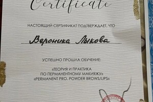 Диплом / сертификат №3 — Лыкова Вероника Владимировна