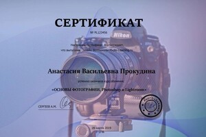 Диплом / сертификат №3 — Прокудина Анастасия Васильевна