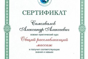 Диплом / сертификат №5 — Самохвалов Александр Алексеевич