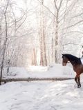 Сергей Пименов — фотограф (Челябинск)