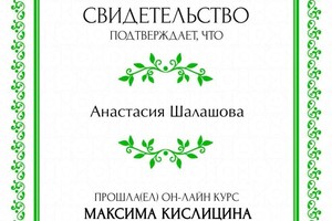 Диплом / сертификат №8 — Шалашова Анастасия Валерьевна