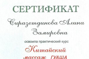 Диплом / сертификат №10 — Сиразетдинова Алина Замировна