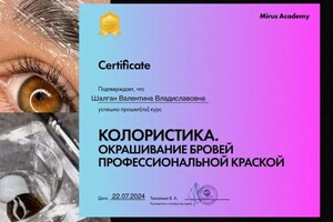 Диплом / сертификат №1 — Шалган Валентина Владиславовна