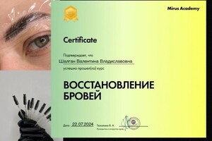 Диплом / сертификат №4 — Шалган Валентина Владиславовна
