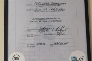 Диплом / сертификат №4 — Гаврилюк Екатерина Вячеславовна