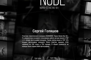 Диплом / сертификат №2 — Голяшов Сергей Владимирович
