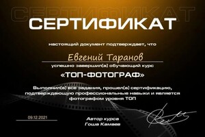 Диплом / сертификат №14 — Таранов Евгений Владимирович