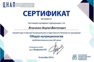 Диплом / сертификат №8 — Кравченко Андрей Викторович