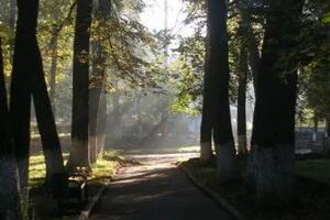 утро — Анна Фролова