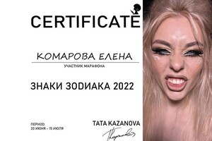 Диплом / сертификат №5 — Комарова Елена Игоревна