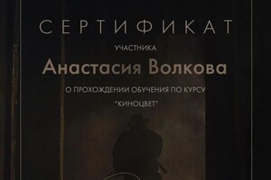 Диплом / сертификат №2 — Волкова Анастасия Валерьевна