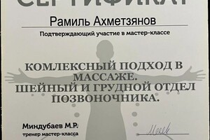 Диплом / сертификат №9 — Ахметзянов Рамиль Винерович