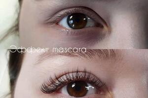 Эффект mascara( мокрых/окрашенных), изгиб Д. — Багаутдинова Айгуль Харрасовна