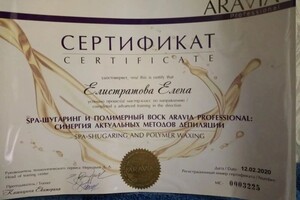 Диплом / сертификат №8 — Елистратова Елена Анатольевна