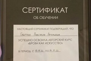 Диплом / сертификат №2 — Габитова Анастасия Артемьевна