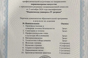 Диплом / сертификат №3 — Кубрак Алёна Александровна